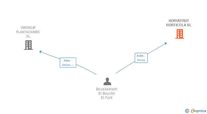 Vinculaciones societarias de HORVEFRUT HORTICOLA SL