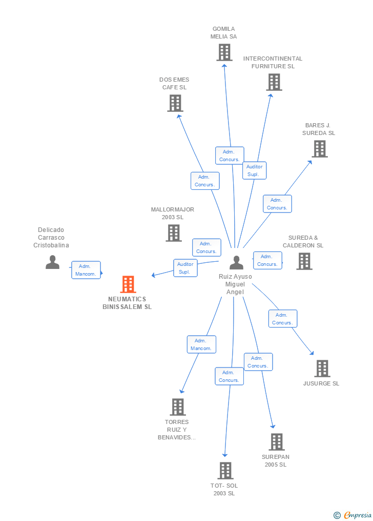 Vinculaciones societarias de NEUMATICS BINISSALEM SL