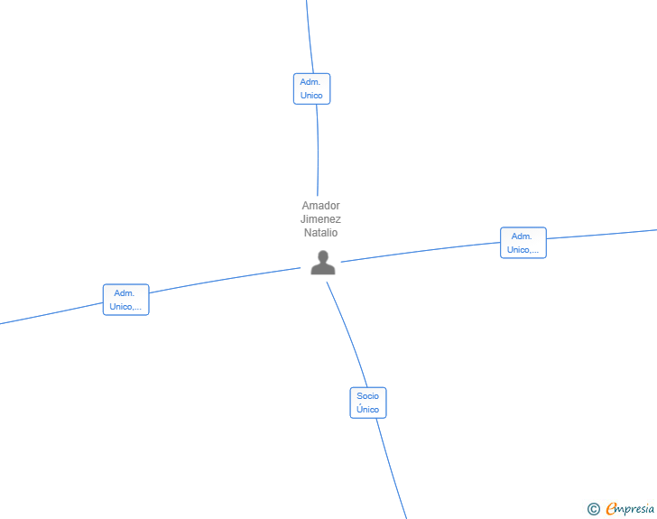 Vinculaciones societarias de SNJ INVERSIONES 2024 SL