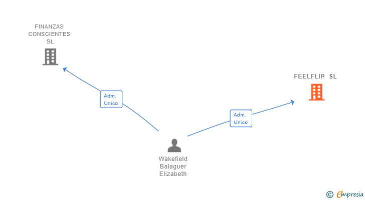 Vinculaciones societarias de FEELFLIP SL