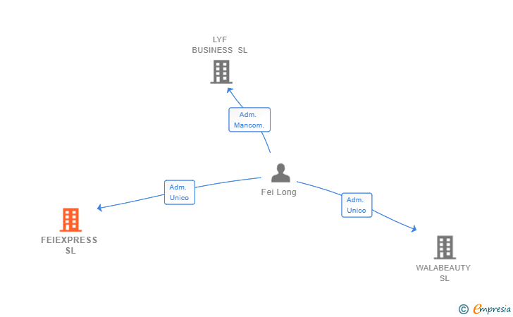 Vinculaciones societarias de FEIEXPRESS SL