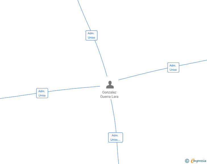 Vinculaciones societarias de LAGG ESPACIO SL