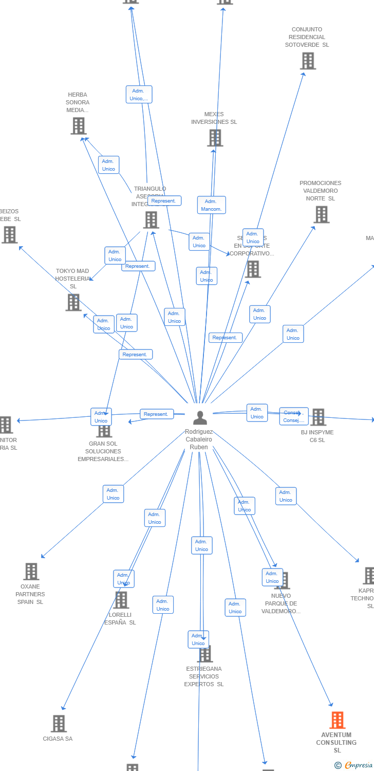 Vinculaciones societarias de AVENTUM CONSULTING SL