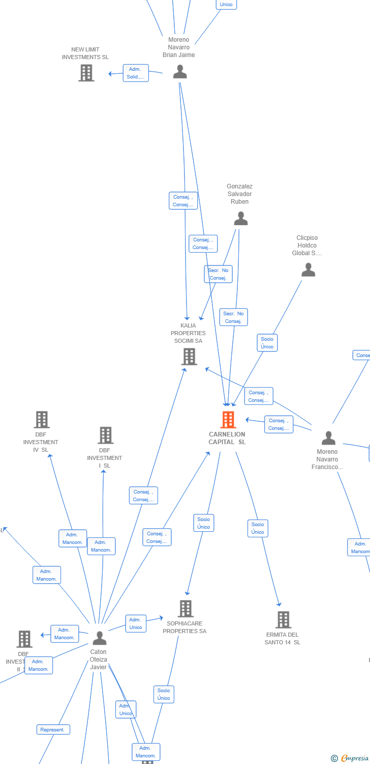 Vinculaciones societarias de CARNELION CAPITAL SL
