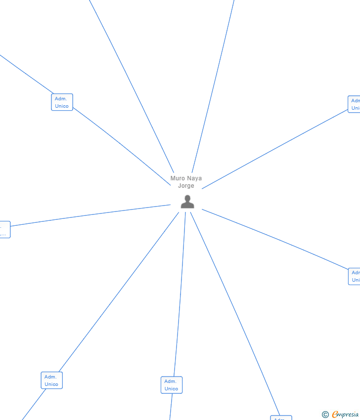 Vinculaciones societarias de BELIEVE HOMES SL