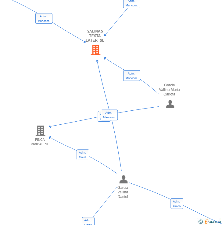Vinculaciones societarias de SALINAS TESTA LATER SL