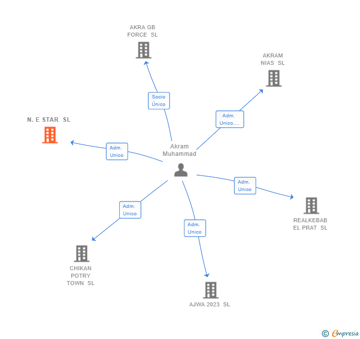 Vinculaciones societarias de N.E STAR SL