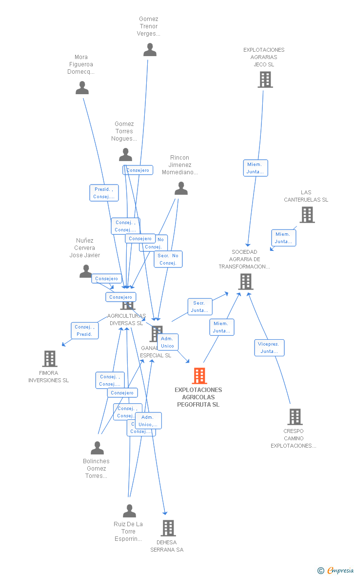 Vinculaciones societarias de EXPLOTACIONES AGRICOLAS PEGOFRUTA SL