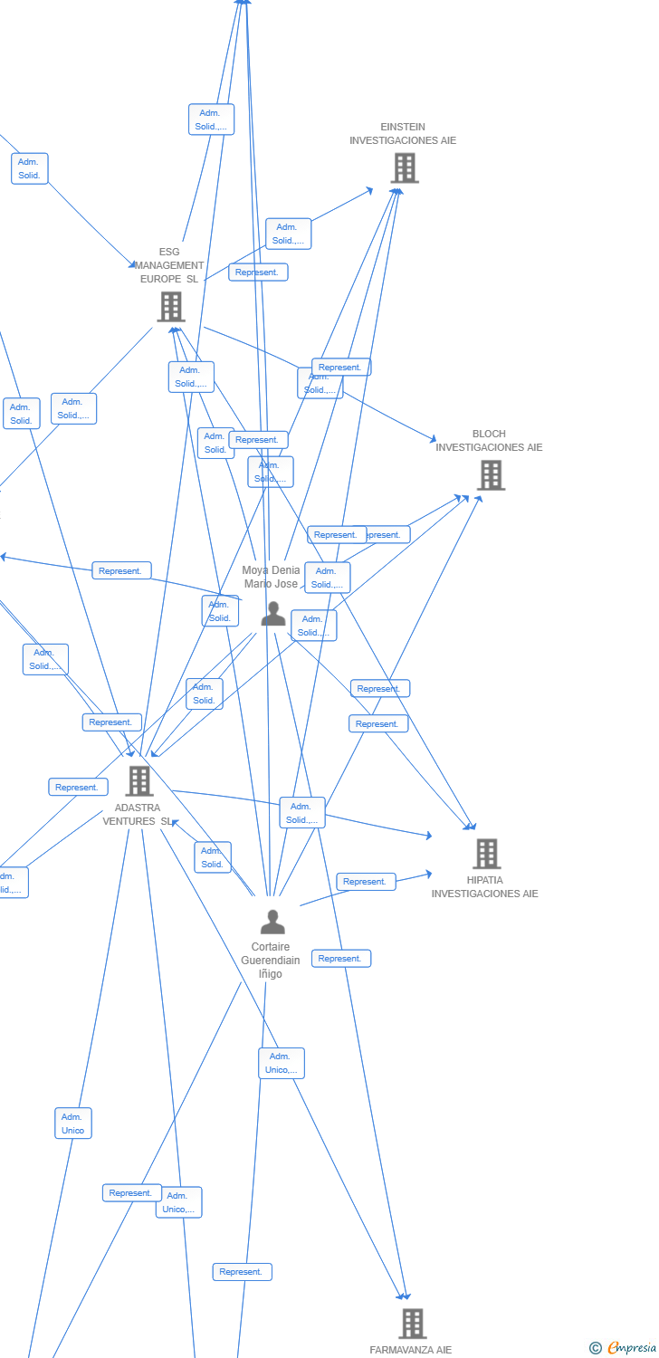 Vinculaciones societarias de BIZI RESEARCH AIE