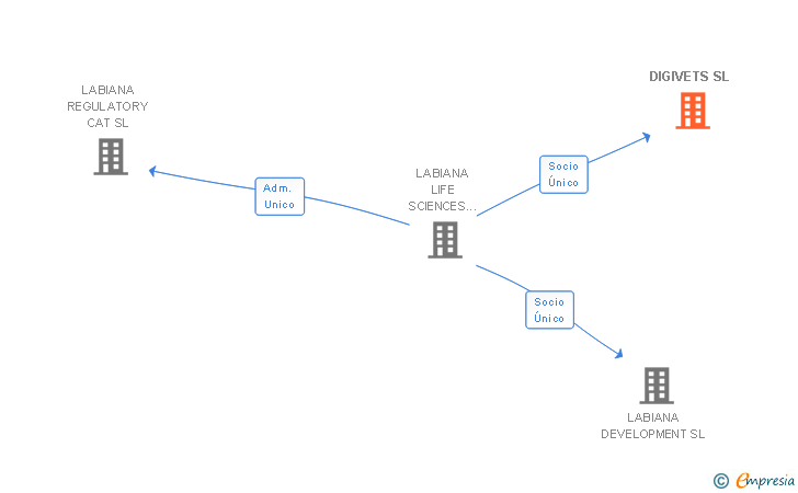 Vinculaciones societarias de DIGIVETS SL