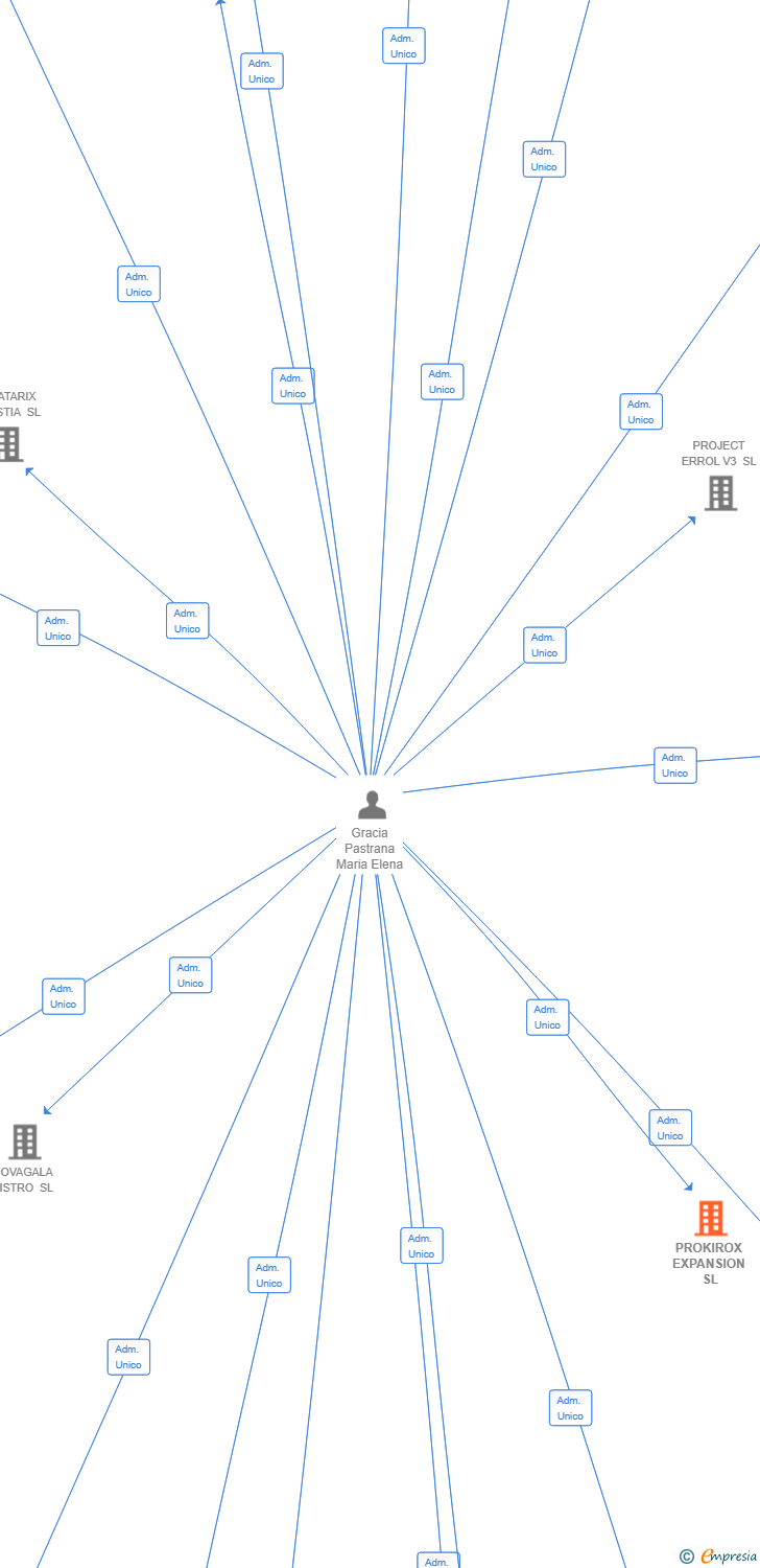 Vinculaciones societarias de PROKIROX EXPANSION SL