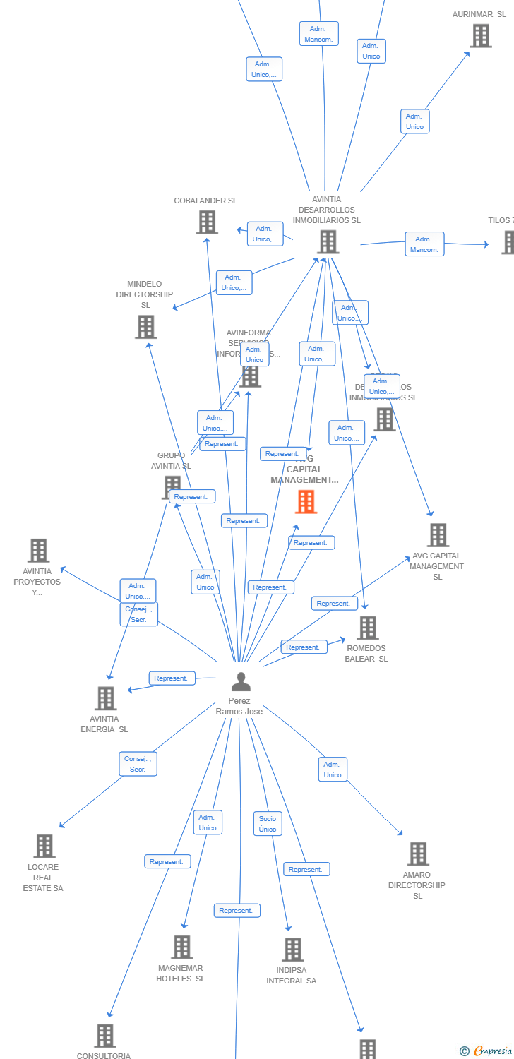 Vinculaciones societarias de AVG CAPITAL MANAGEMENT 20 SA
