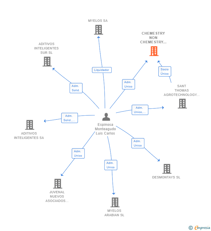 Vinculaciones societarias de CHEMESTRY NON CHEMESTRY SL
