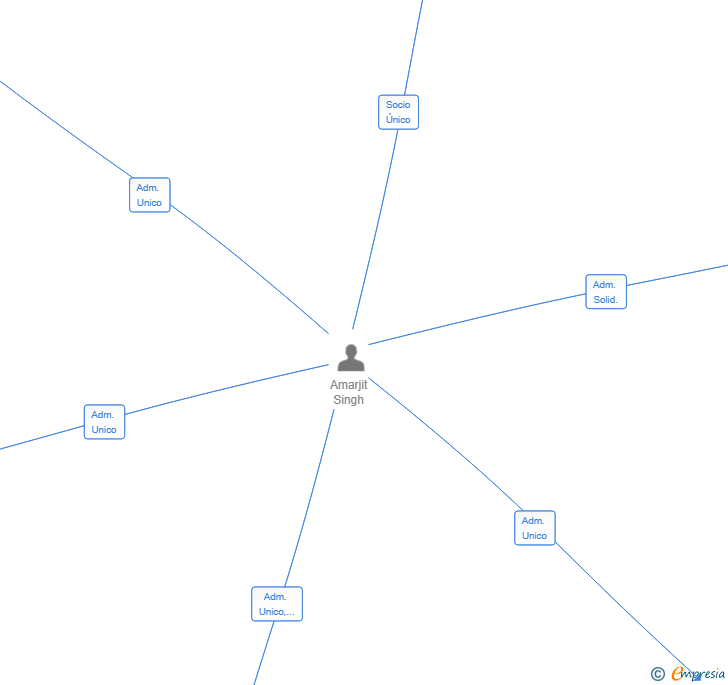 Vinculaciones societarias de SINGH 86 86 SL