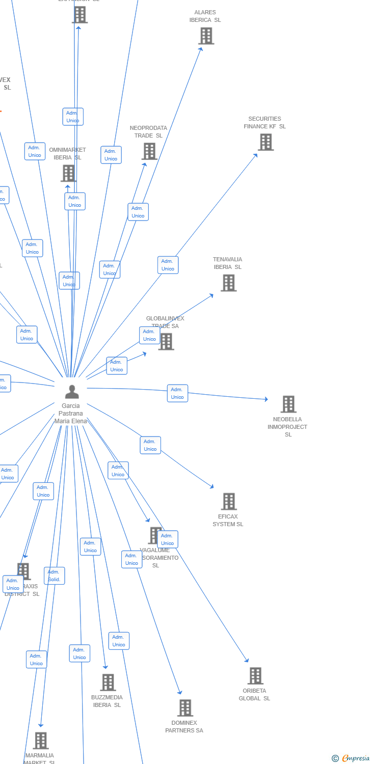 Vinculaciones societarias de GOLDINVEX MARKET SL