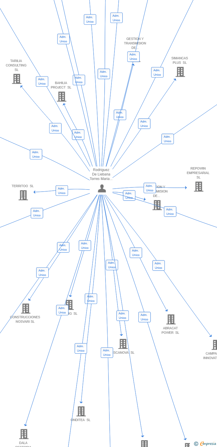 Vinculaciones societarias de ICHOLA SOLUTIONS SL