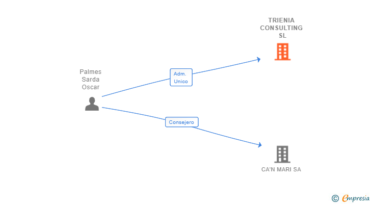 Vinculaciones societarias de TRIENIA CONSULTING SL