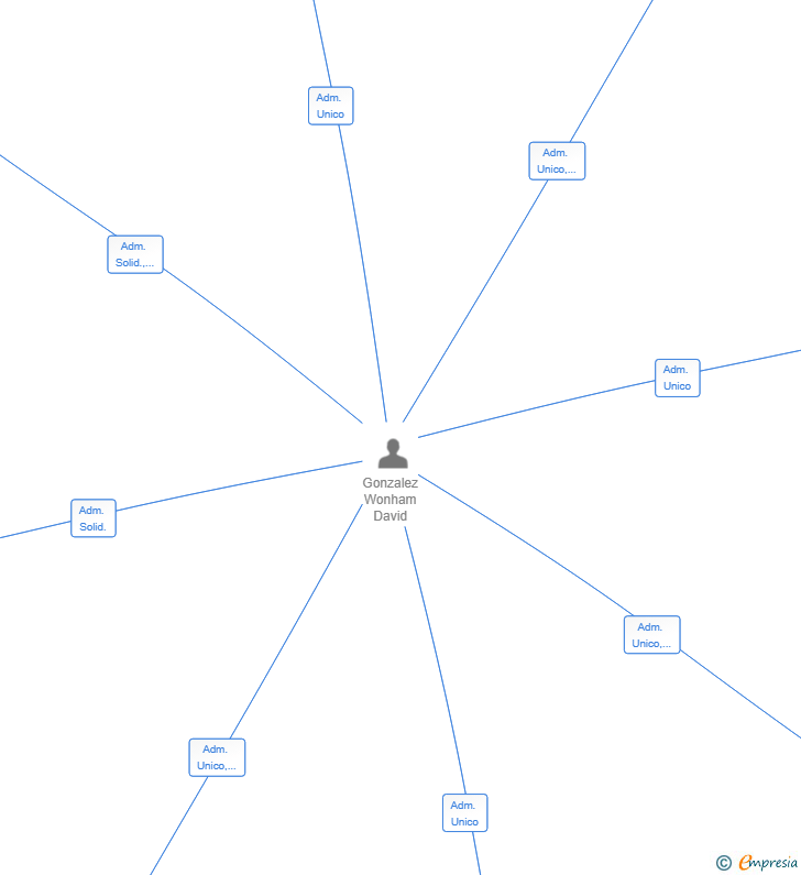 Vinculaciones societarias de LOVE SPAIN TILES SL