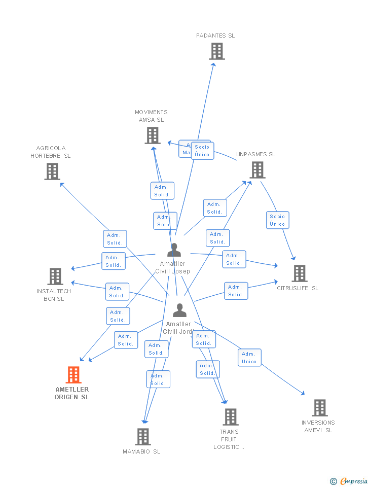 Vinculaciones societarias de AMETLLER ORIGEN SL