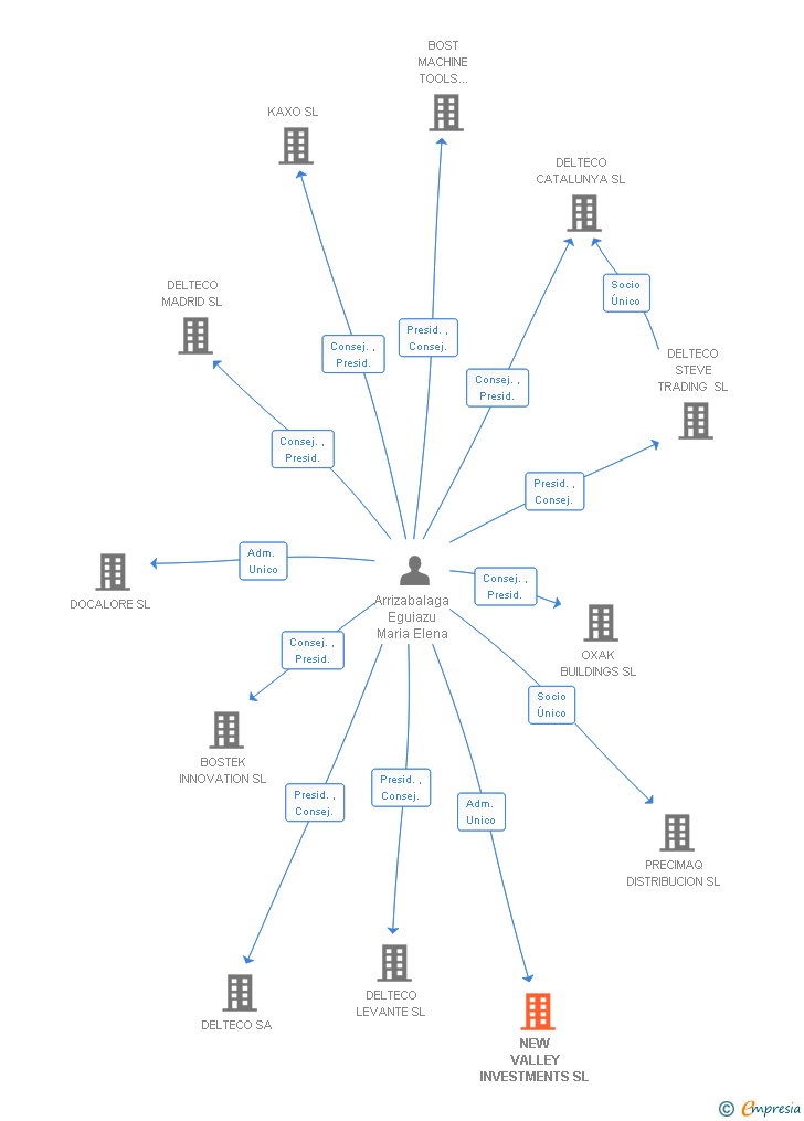 Vinculaciones societarias de NEW VALLEY INVESTMENTS SL