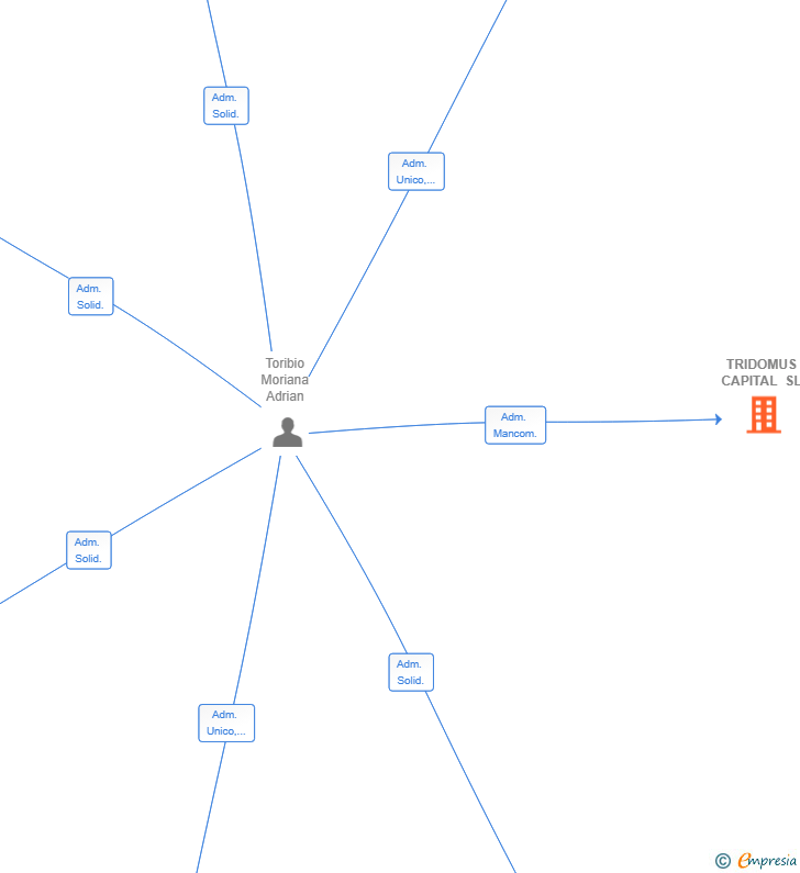 Vinculaciones societarias de TRIDOMUS CAPITAL SL