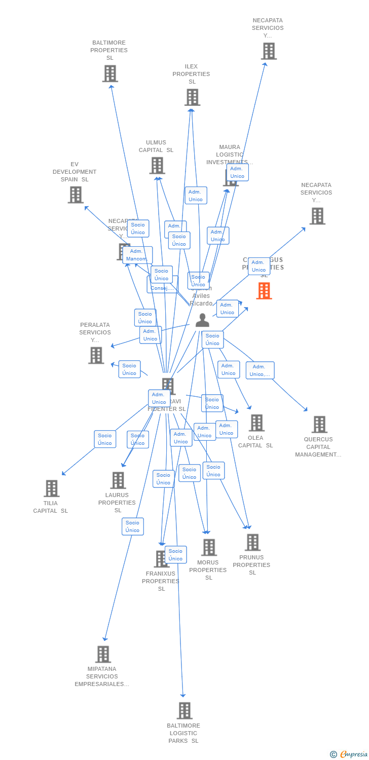 Vinculaciones societarias de CRATAEGUS PROPERTIES SL
