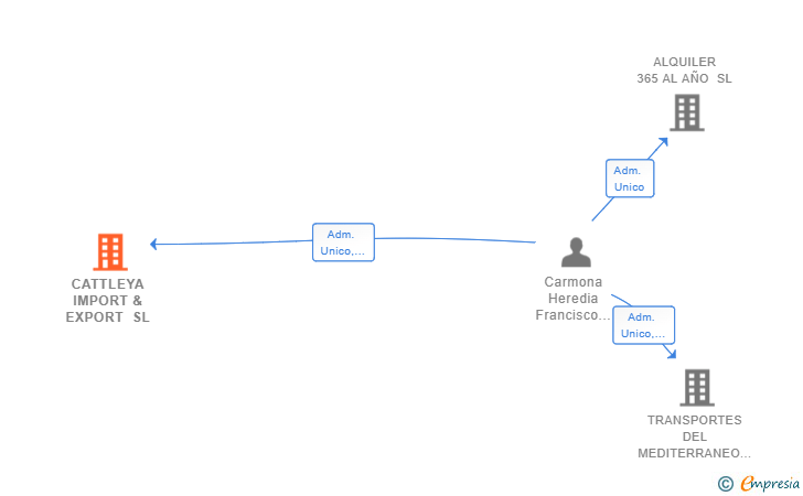 Vinculaciones societarias de CATTLEYA IMPORT & EXPORT SL