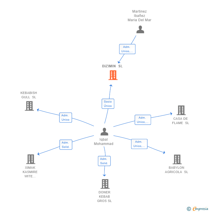 Vinculaciones societarias de BIZIMIN SL