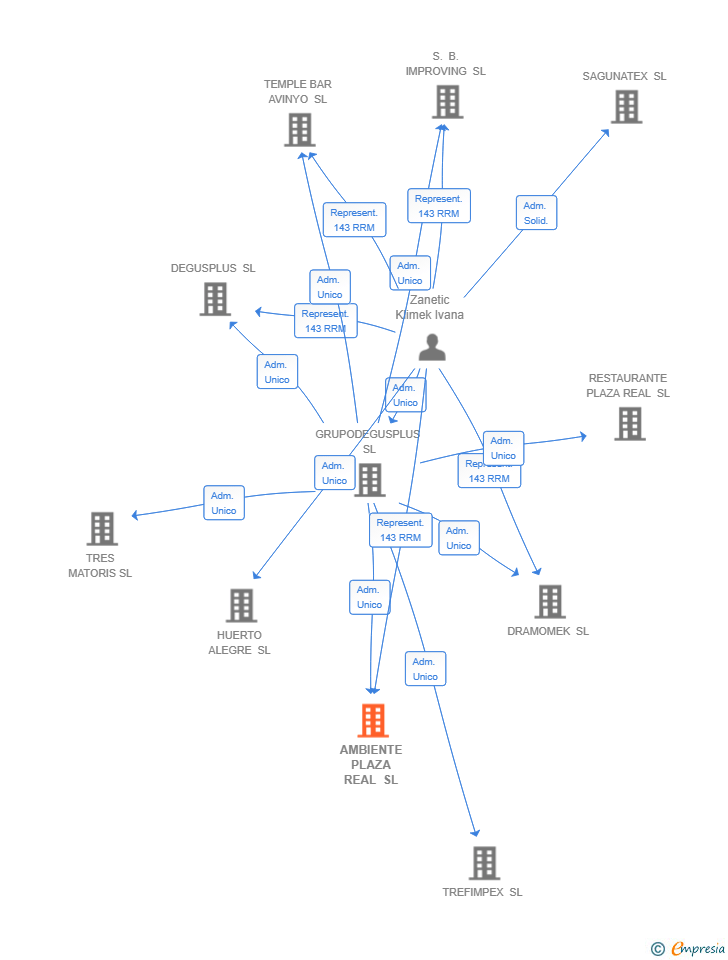 Vinculaciones societarias de AMBIENTE PLAZA REAL SL