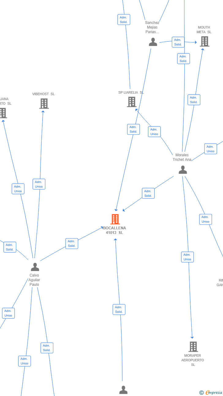 Vinculaciones societarias de BOCALLENA 41013 SL