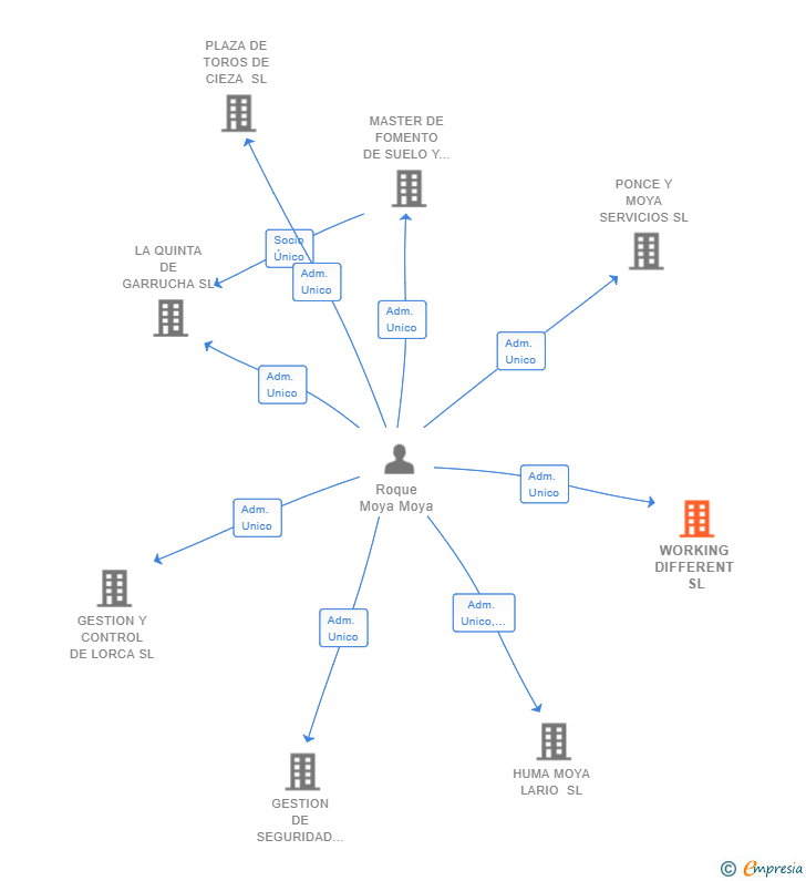 Vinculaciones societarias de WORKING DIFFERENT SL