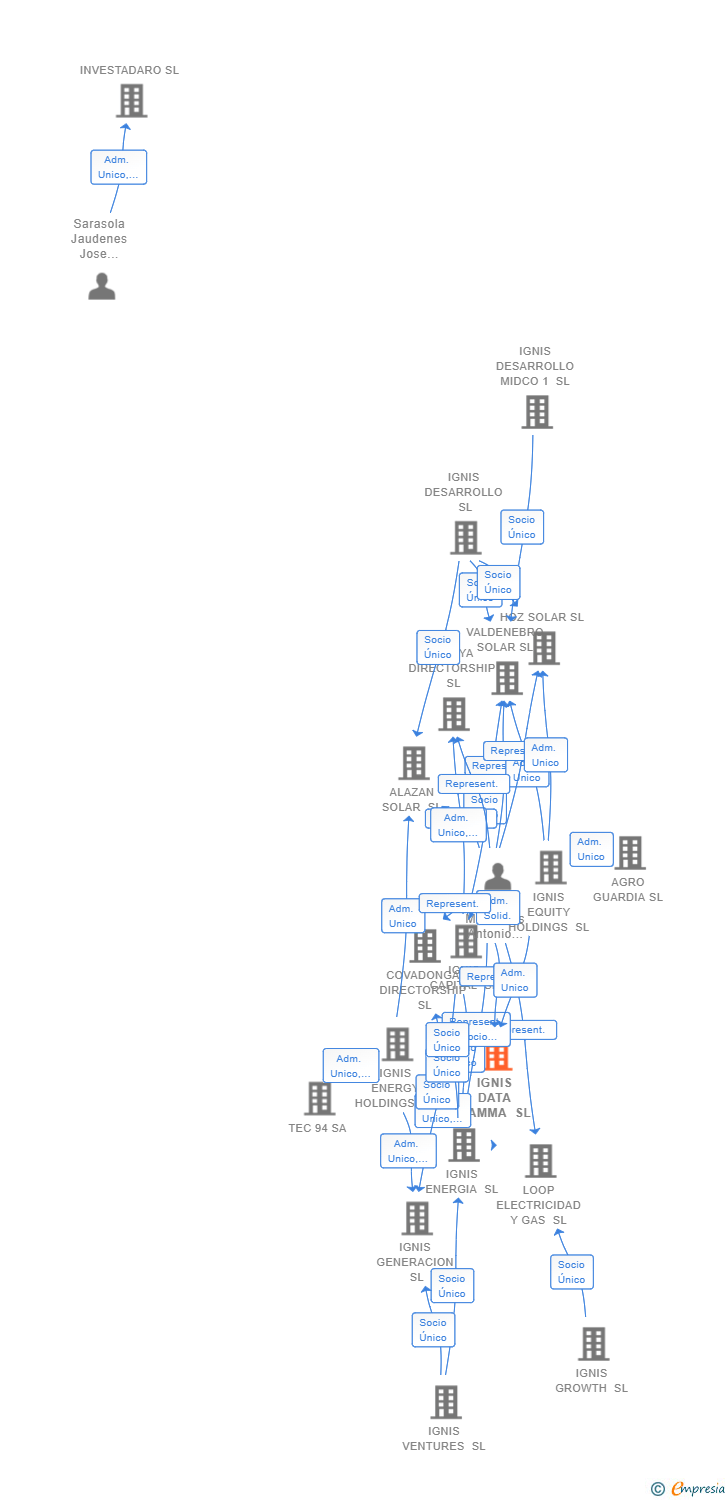 Vinculaciones societarias de IGNIS DATA GAMMA SL