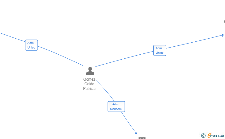 Vinculaciones societarias de AMARA BARES SL