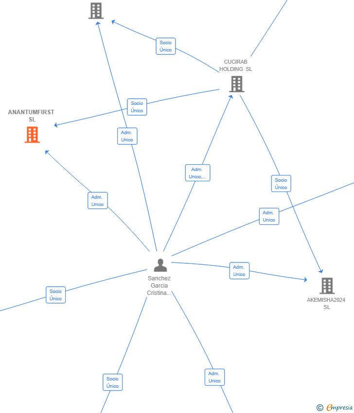 Vinculaciones societarias de ANANTUMFIRST SL