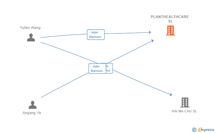 Vinculaciones societarias de PLANTHEALTHCARE SL