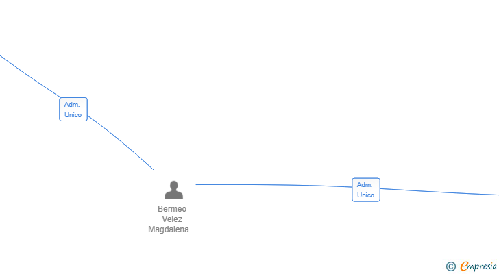 Vinculaciones societarias de VIHOGAR REP SL
