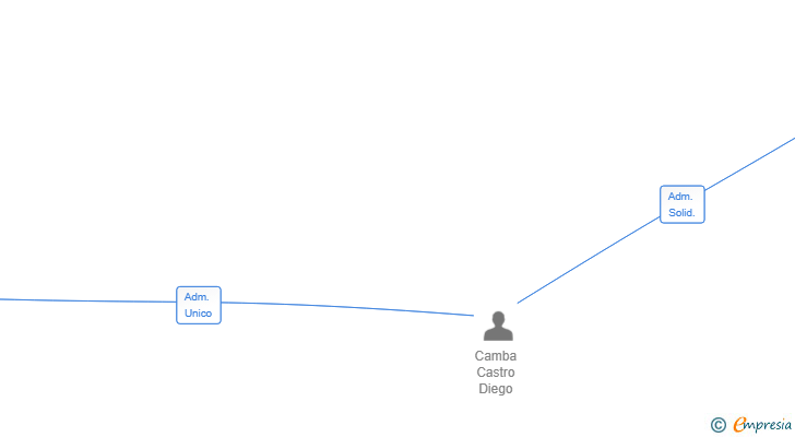 Vinculaciones societarias de DICAM BRANDS SL