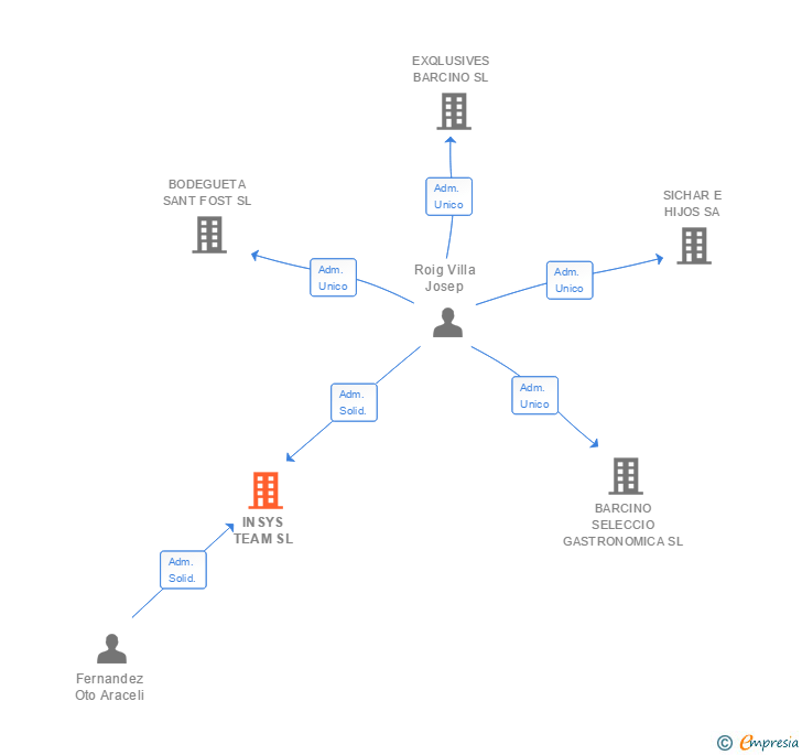 Vinculaciones societarias de INSYS TEAM SL