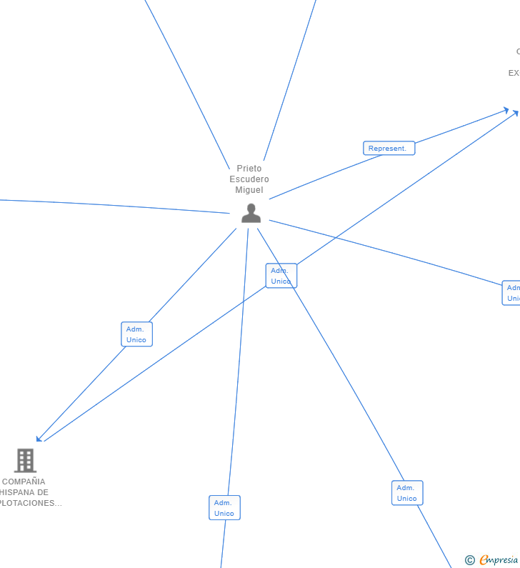 Vinculaciones societarias de PICKERING SL