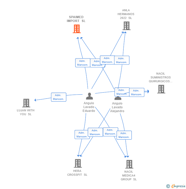 Vinculaciones societarias de SPAIMED IMPORT SL
