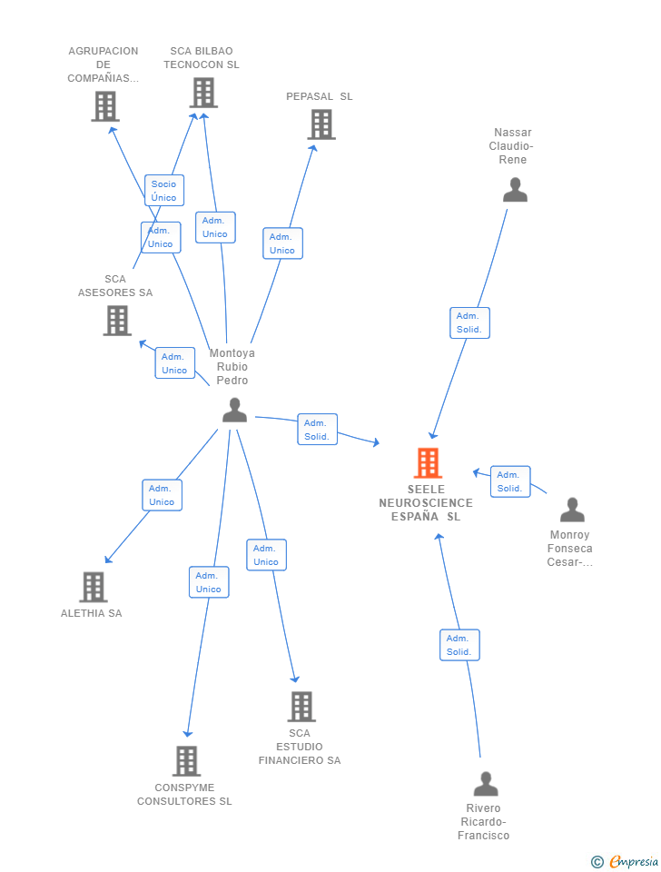 Vinculaciones societarias de SEELE NEUROSCIENCE ESPAÑA SL