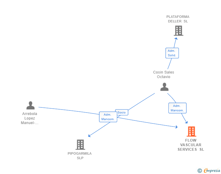 Vinculaciones societarias de FLOW VASCULAR SERVICES SL