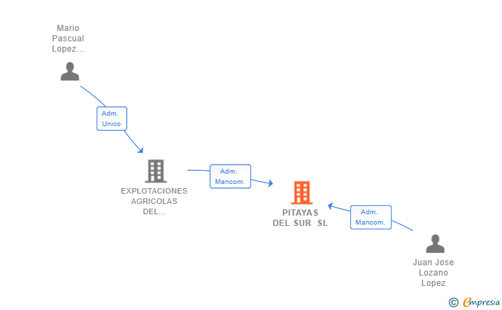 Vinculaciones societarias de PITAYAS DEL SUR SL