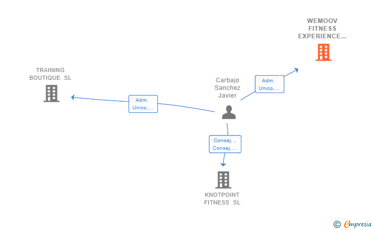 Vinculaciones societarias de WEMOOV FITNESS EXPERIENCE SL