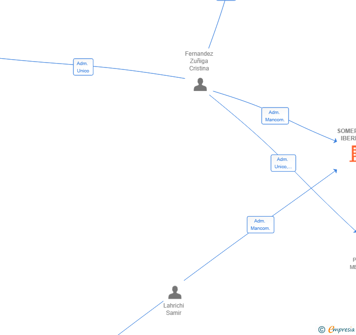 Vinculaciones societarias de SOMEPHARM IBERIA SL