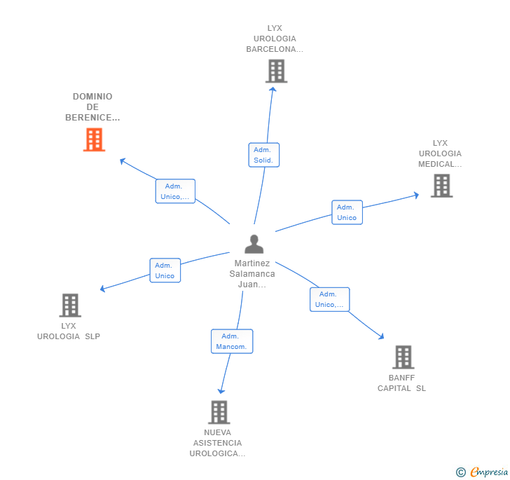 Vinculaciones societarias de DOMINIO DE BERENICE SL