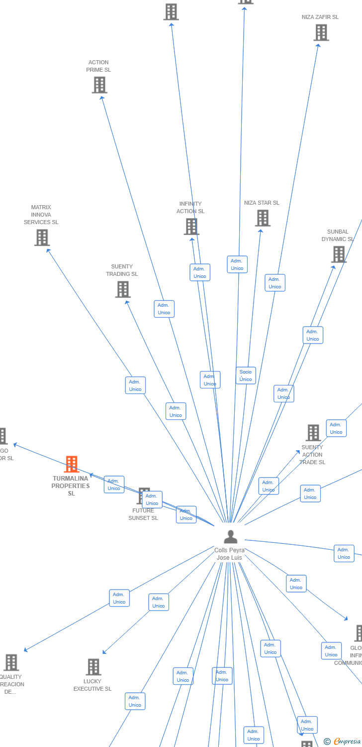 Vinculaciones societarias de TURMALINA PROPERTIES SL