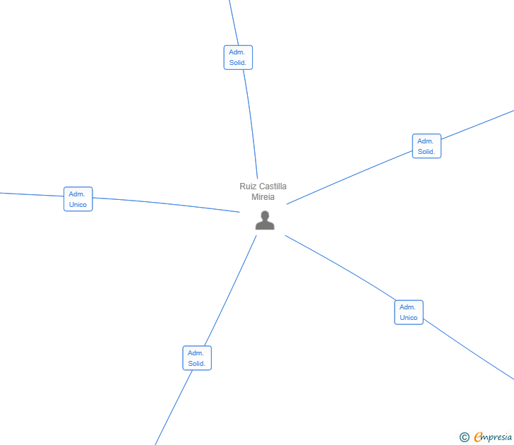 Vinculaciones societarias de NOTANSANTA DISTRIBUCION SL
