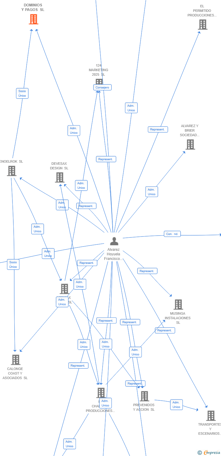 Vinculaciones societarias de DOMINIOS Y PAGOS SL