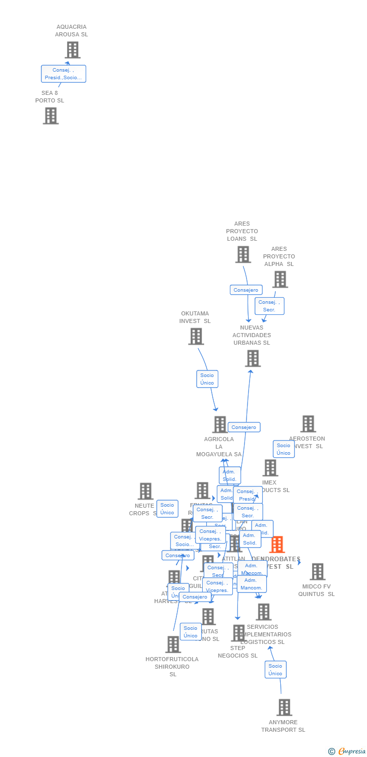 Vinculaciones societarias de DENDROBATES INVEST SL